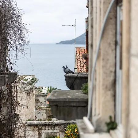 Charming Retreat In Old Town Korčula