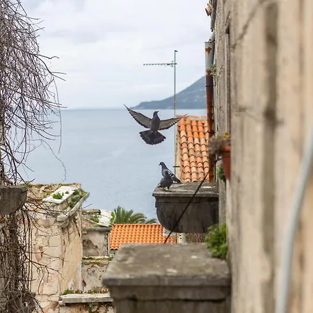 Charming Retreat In Old Town