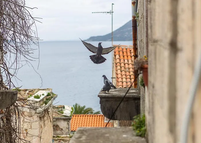 Charming Retreat In Old Town